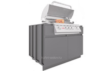 Модуль под газовый гриль